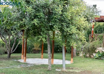 Foto 33 - Attività Commerciale Contrada della fonte
 
11, Controguerra - foto 33