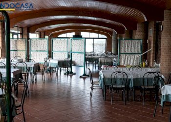 Foto 9 - Attività Commerciale Contrada della fonte
 
11, Controguerra - foto 9