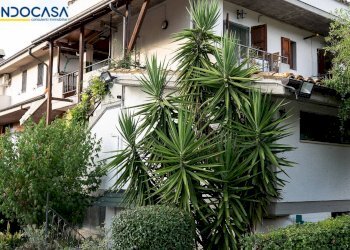 Foto 48 - Attività Commerciale Contrada della fonte
 
11, Controguerra - foto 48