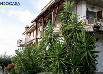 Foto 32 - Attività Commerciale Contrada della fonte
 
11, Controguerra - foto 32