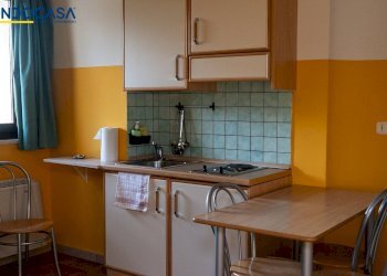 Foto 43 - Attività Commerciale Contrada della fonte
 
11, Controguerra - foto 43