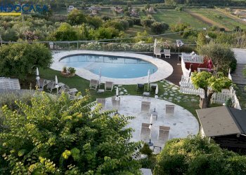 Foto 41 - Attività Commerciale Contrada della fonte
 
11, Controguerra - foto 41