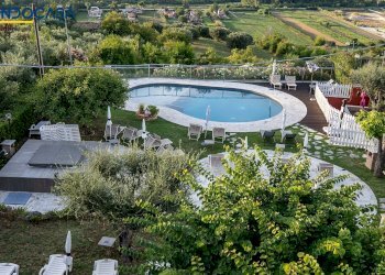 Foto 58 - Attività Commerciale Contrada della fonte
 
11, Controguerra - foto 58