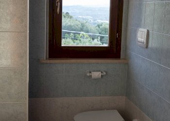 Foto 46 - Attività Commerciale Contrada della fonte
 
11, Controguerra - foto 46