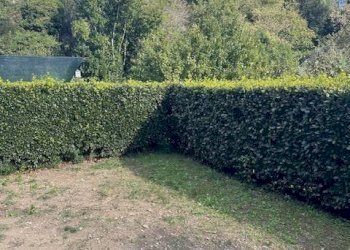 Foto 8 - Trilocale Viale San Francesco
 
snc, Pitigliano - foto 8