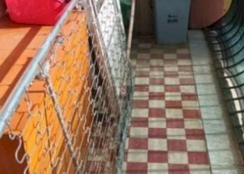 Terrazzo - Casa indipendente via Castagnola di Sotto, Massa - foto 4