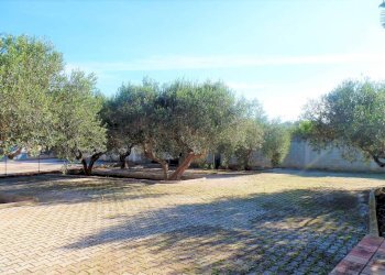 Terreno - Villa via gorizia, 1, Marsala - photo 17