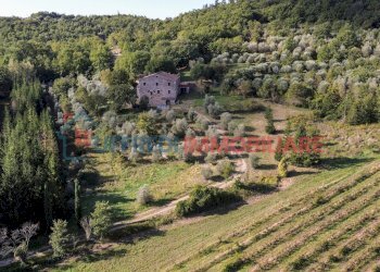 Villa Rapolano Terme - foto 1