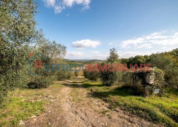 Villa Rapolano Terme - foto 5