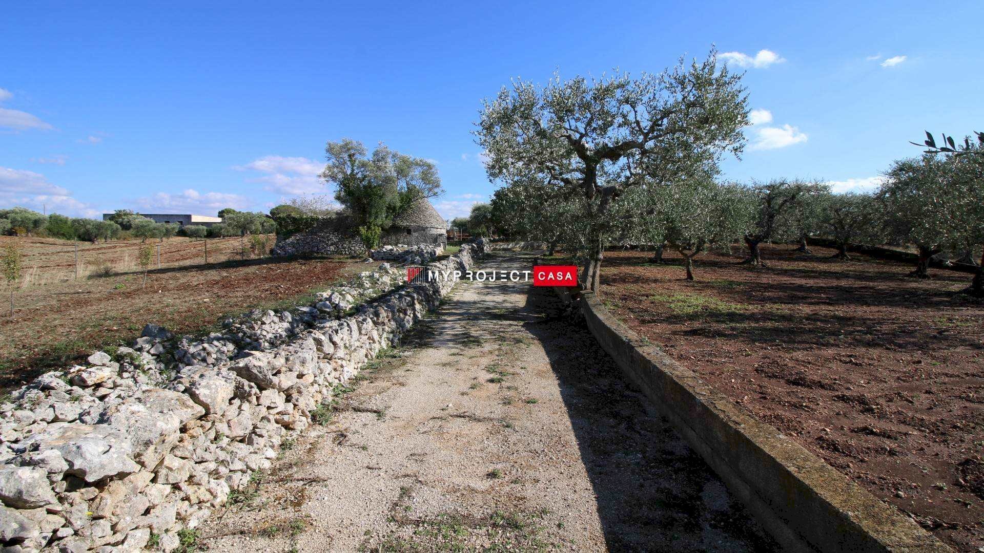 Trullo Contrada Lama Colonna, Alberobello - foto 1