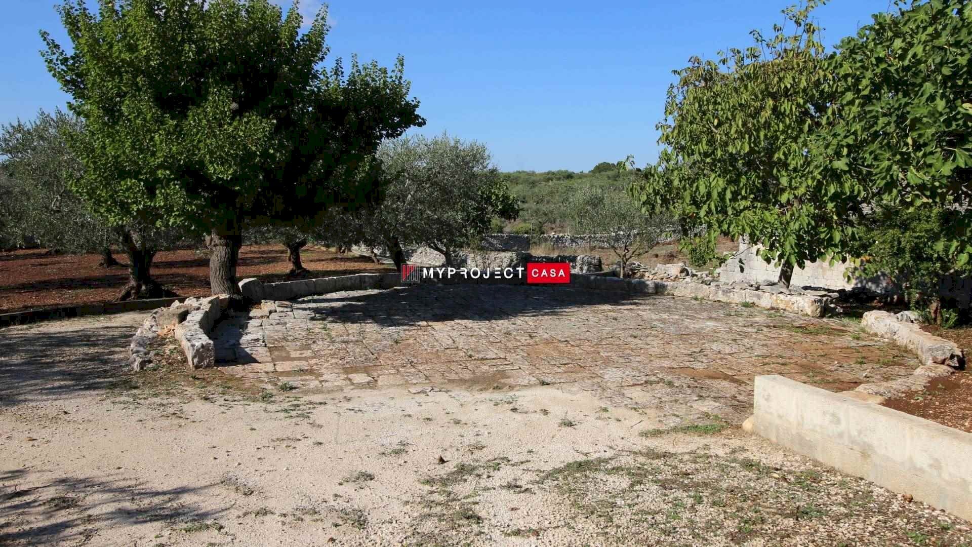 Trullo Contrada Lama Colonna, Alberobello - foto 2
