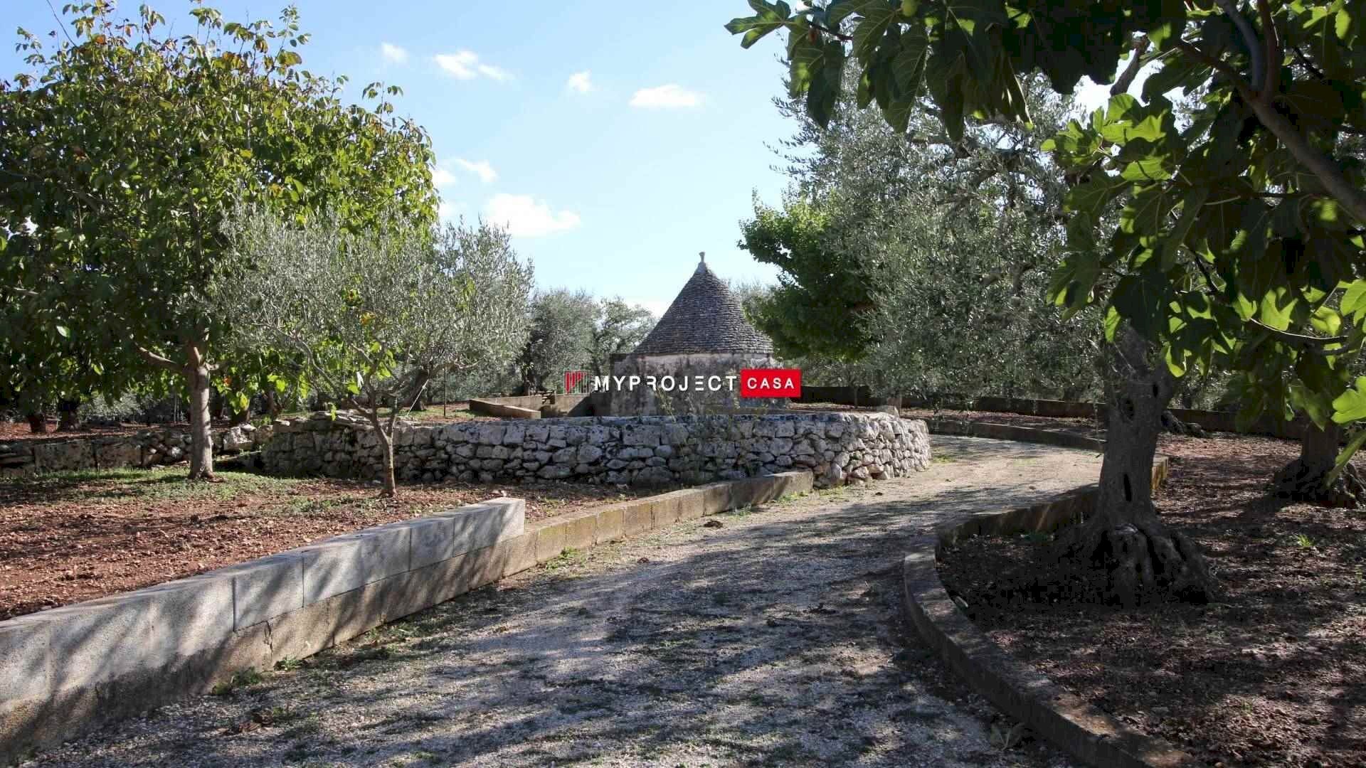 Trullo Contrada Lama Colonna, Alberobello - foto 3