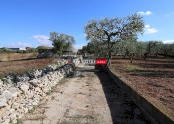 Trullo Contrada Lama Colonna, Alberobello - foto 1