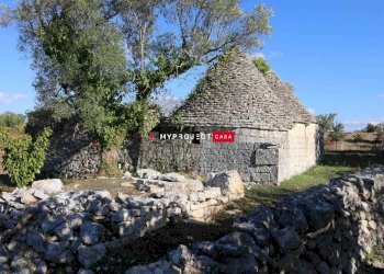 Trullo Contrada Lama Colonna, Alberobello - foto 6