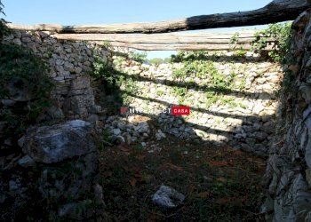 Trullo Contrada Lama Colonna, Alberobello - foto 11