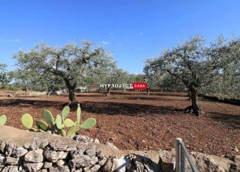 Trullo Contrada Lama Colonna, Alberobello - foto 12