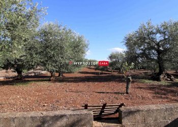 Trullo Contrada Lama Colonna, Alberobello - foto 13