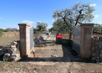 Trullo Contrada Lama Colonna, Alberobello - foto 14