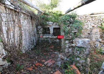 Trullo Contrada Lama Colonna, Alberobello - foto 10