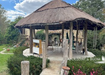 Casale Baccoleno, Trequanda - foto 7