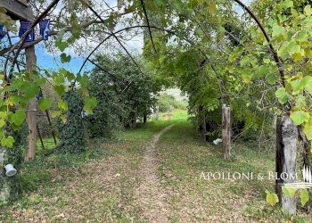 Casale Baccoleno, Trequanda - foto 28