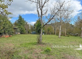 Casale Baccoleno, Trequanda - foto 29