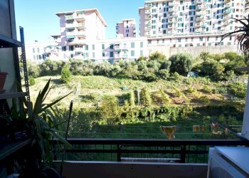 Appartamento Via Diano, Genova (zona Palmaro) - foto 16