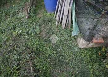 Rustico Via Valle Balbiana, Pino Torinese - foto 17