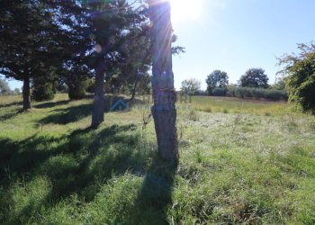 Foto 6 - Villa VIA NICOLA ROSATI
 
snc, Corropoli - foto 6