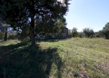 Foto 7 - Villa VIA NICOLA ROSATI
 
snc, Corropoli - foto 7