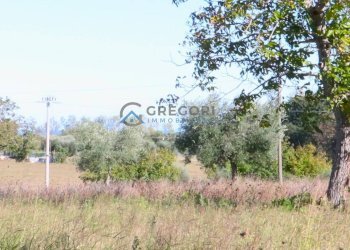 Foto 11 - Villa VIA NICOLA ROSATI
 
snc, Corropoli - foto 11