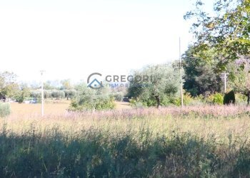 Foto 12 - Villa VIA NICOLA ROSATI
 
snc, Corropoli - foto 12