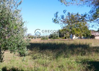 Foto 13 - Villa VIA NICOLA ROSATI
 
snc, Corropoli - foto 13