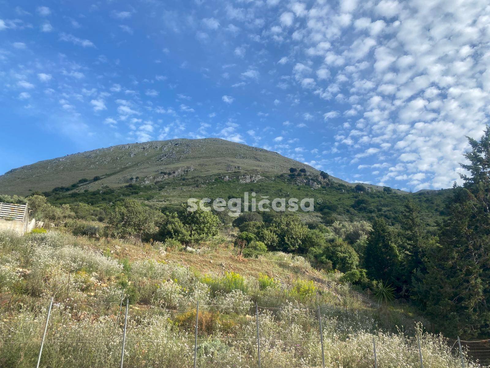 Foto 1 - Terreno edificabile Via michelangelo, Torretta - foto 1