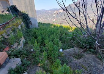 Foto 16 - Trilocale Via Circonvallazione, Maenza - foto 16