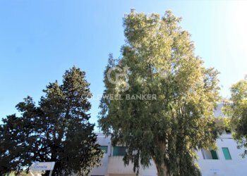 Foto 16 - Bilocale Contrada Rosa Marina, Ostuni - foto 16