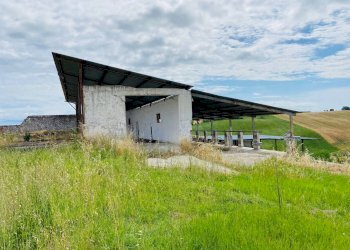 Foto 6 - Rustico via mommeo, Belvedere Ostrense - foto 6