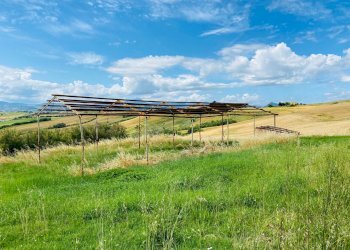 Foto 7 - Rustico via mommeo, Belvedere Ostrense - foto 7