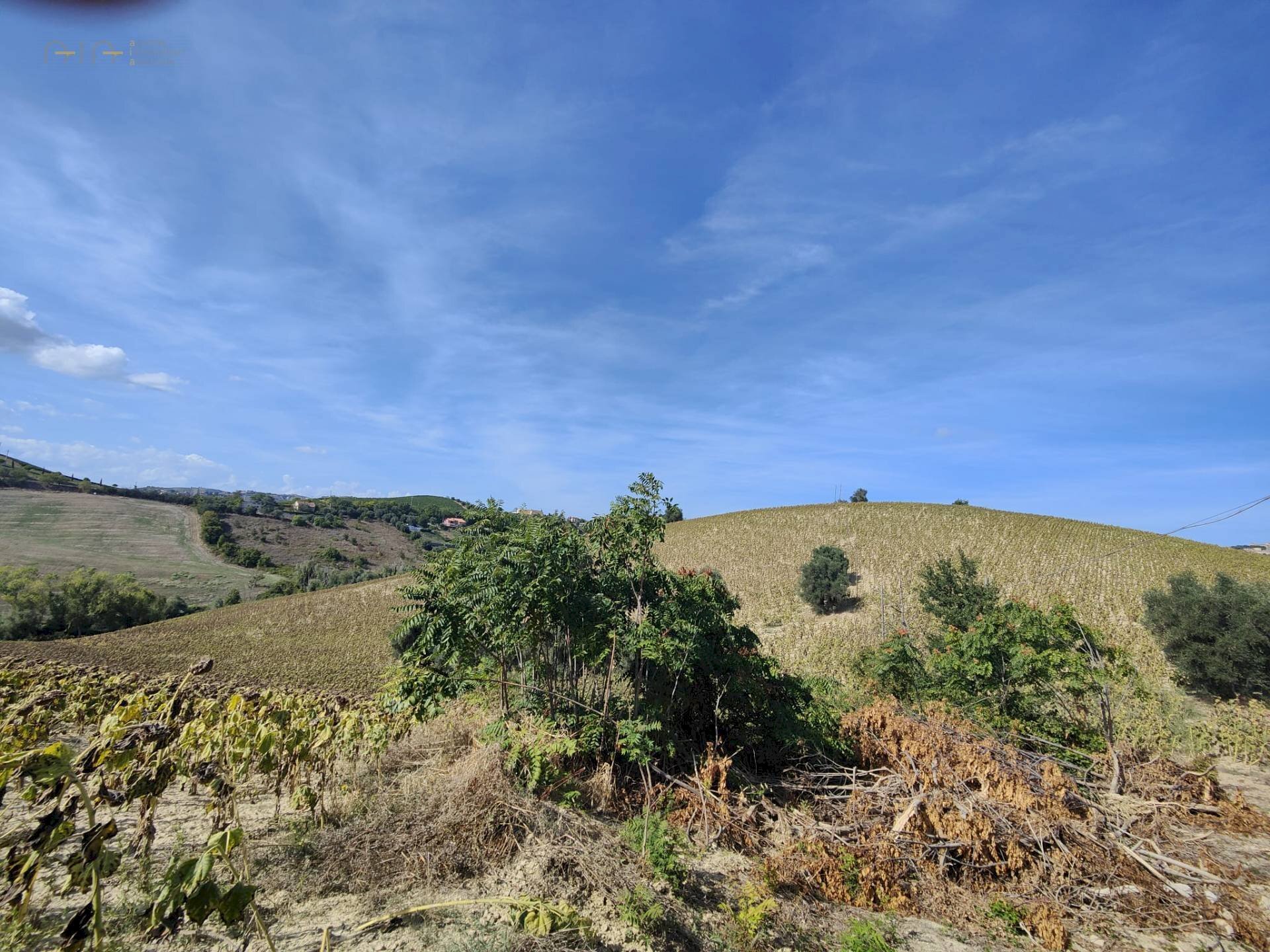 Foto 3 - Rustic Contrada Forola, Acquaviva Picena - photo 3