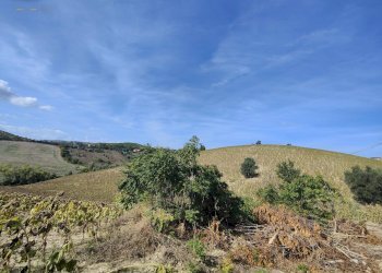 Foto 3 - Rustico Contrada Forola, Acquaviva Picena - foto 3