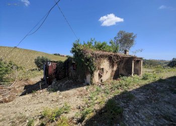 Foto 24 - Rustico Contrada Forola, Acquaviva Picena - foto 24