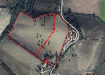 Foto 2 - Rustico Contrada Forola, Acquaviva Picena - foto 2