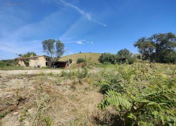 Foto 5 - Rustico Contrada Forola, Acquaviva Picena - foto 5