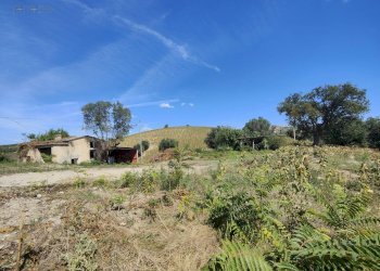 Foto 9 - Rustico Contrada Forola, Acquaviva Picena - foto 9