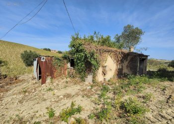 Foto 10 - Rustico Contrada Forola, Acquaviva Picena - foto 10