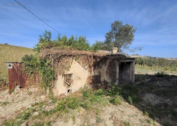 Foto 19 - Rustico Contrada Forola, Acquaviva Picena - foto 19