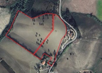 Foto 1 - Agricultural land Contrada Forola, Acquaviva Picena - photo 1