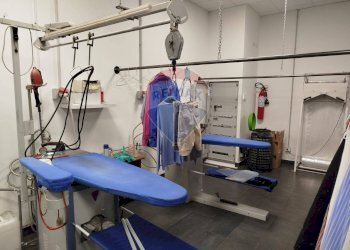 Palestra - Attività Commerciale sp 147
 
12, Arluno - foto 12