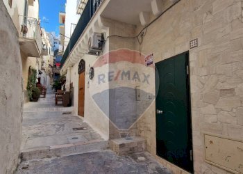 Edificio all\'aperto - Quadrilocale Via Celestino V
 
24, Vieste - foto 1