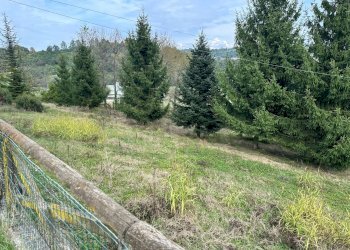 terreno - Casa indipendente strada della Galla
 
12, Mondovì - foto 10